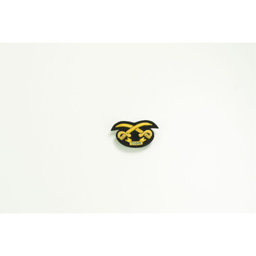 AIRFORCE BADGE PTI SULAM